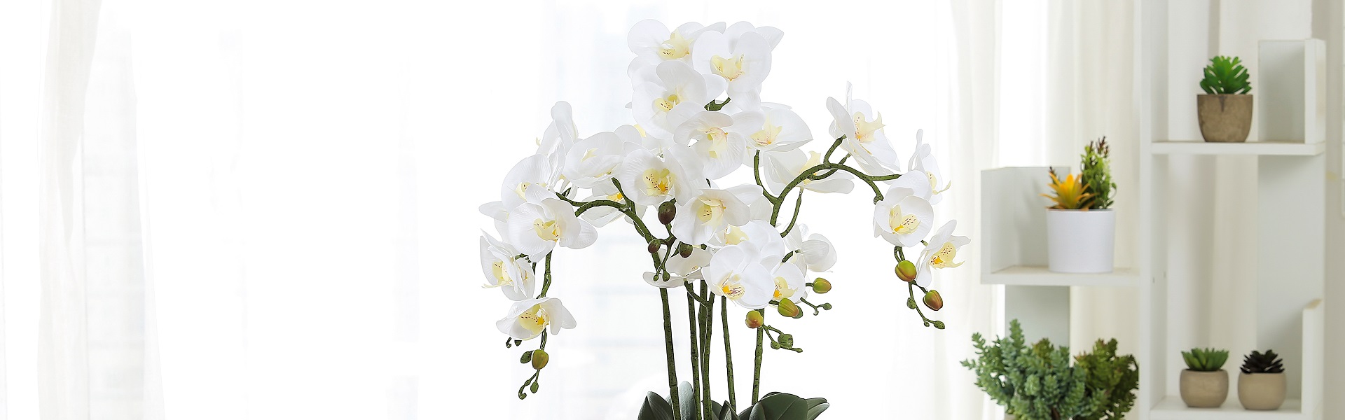 พืชเทียม, succulents ประดิษฐ์, ดอกไม้ประดิษฐ์,Huizhou Baifeng Arts&Crafts Co.,Ltd.