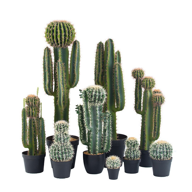 การตกแต่งที่กำหนดเองคุณภาพสูงขนาดใหญ่ Cactus Cactus Cactus Plants