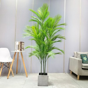 ราคาโรงงานขายส่ง Areca Palm Dypsis lutescens ต้นปาล์มเทียมที่ปรับแต่งได้ด้วยกระถาง