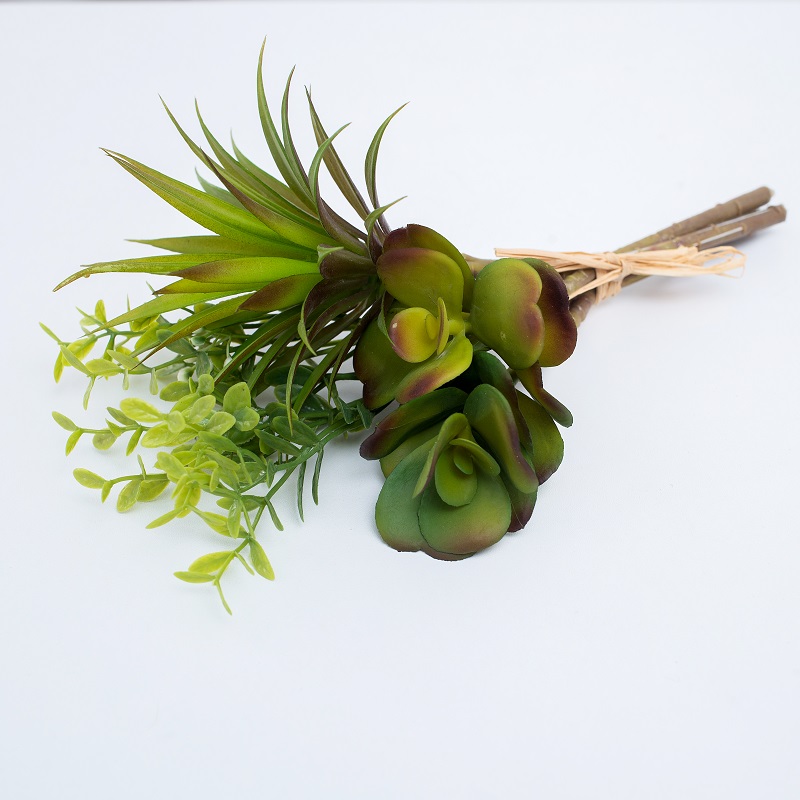 succulent14-.jpg